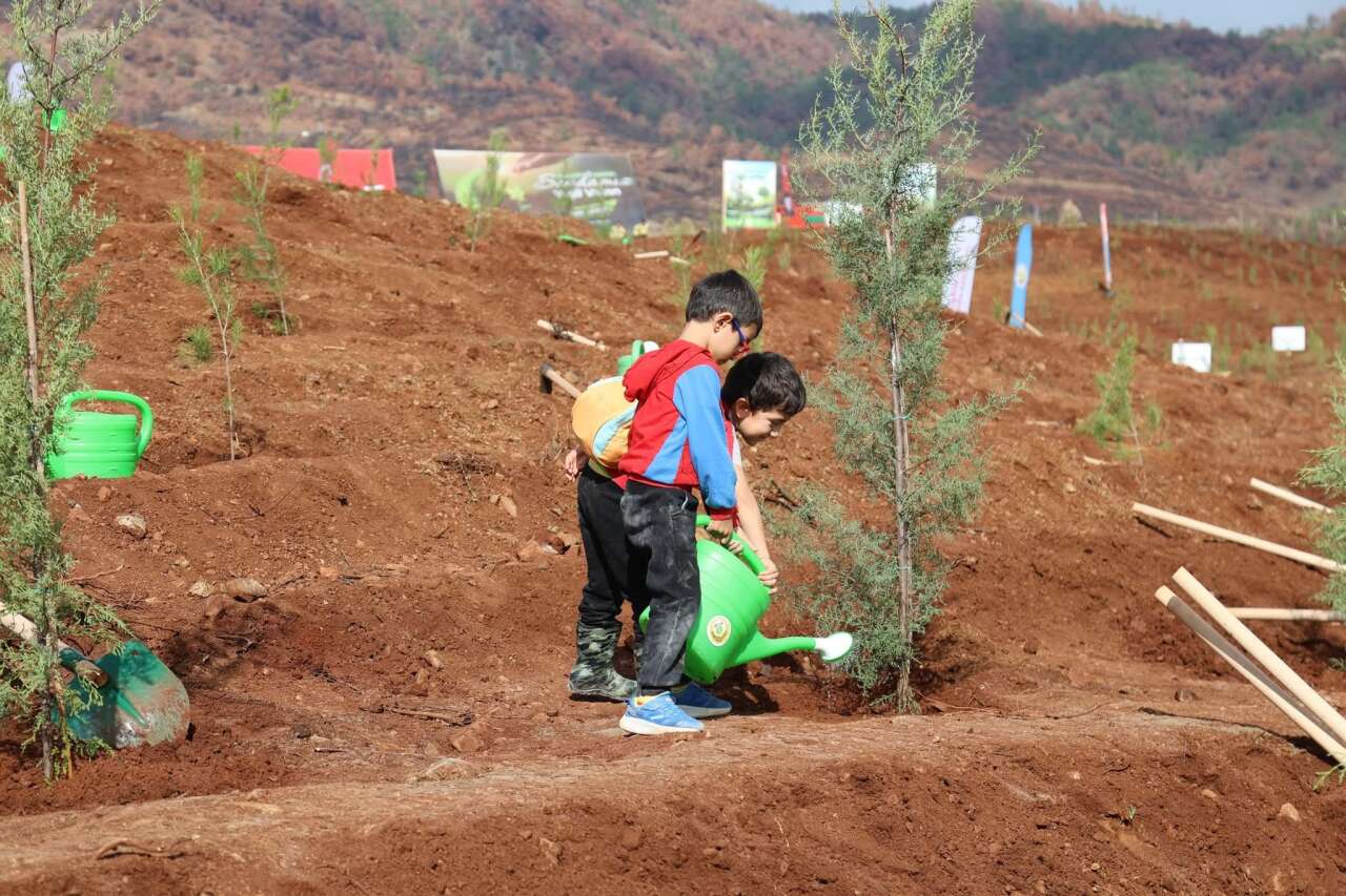 Muğla’da  Yanan Alanlar  Yeniden Yeşerecek 3